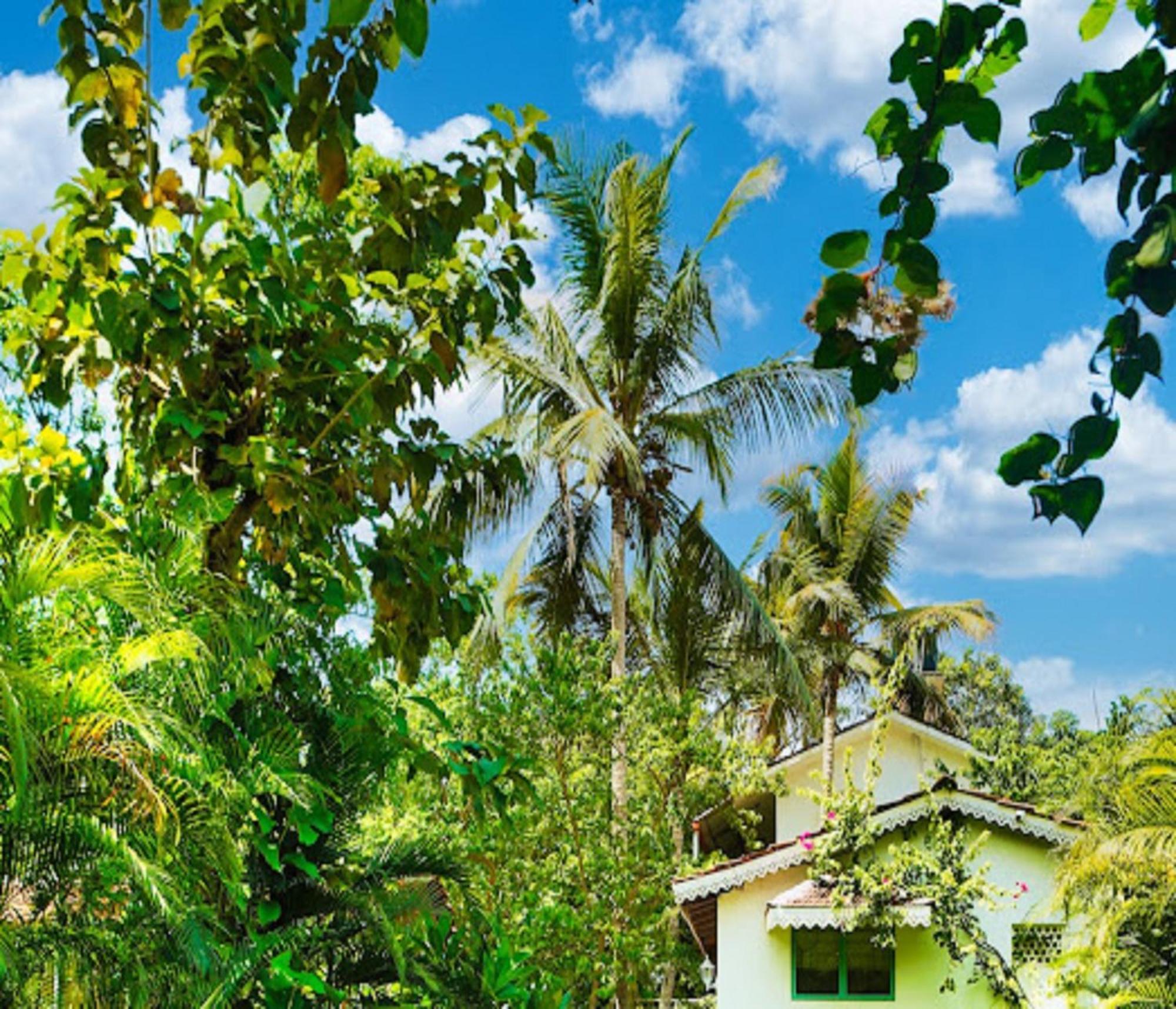 Lar Amorosa Calangute Exterior foto